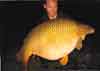 Sep 2009  My son Sam went Carp fishing in France with a few friends  and he caught this 56 pound monster common carp. 